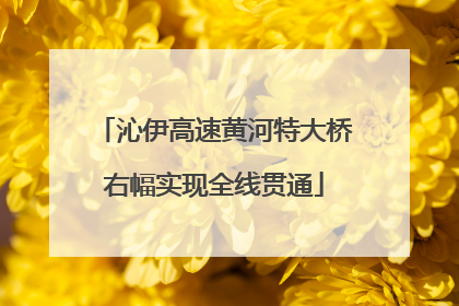 沁伊高速黄河特大桥右幅实现全线贯通