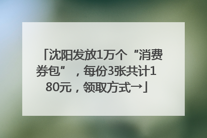 沈阳发放1万个“消费券包”，每份3张共计180元，领取方式→