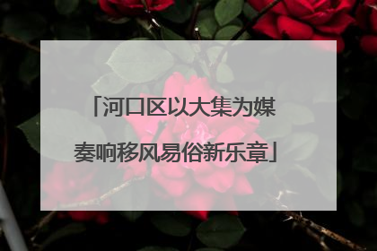 河口区以大集为媒 奏响移风易俗新乐章