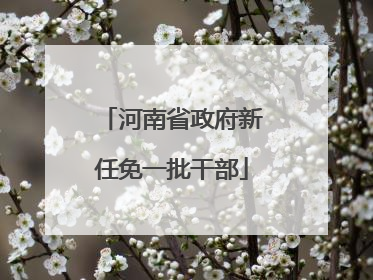 河南省政府新任免一批干部
