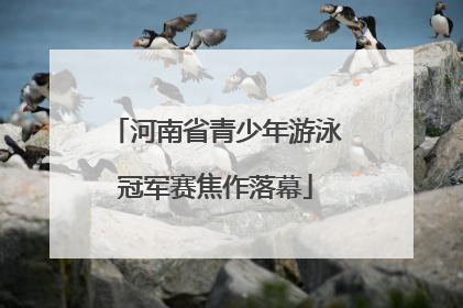 河南省青少年游泳冠军赛焦作落幕
