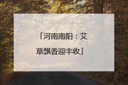 河南南阳：艾草飘香迎丰收