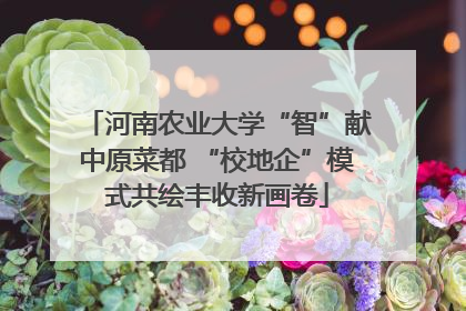 河南农业大学“智”献中原菜都 “校地企”模式共绘丰收新画卷