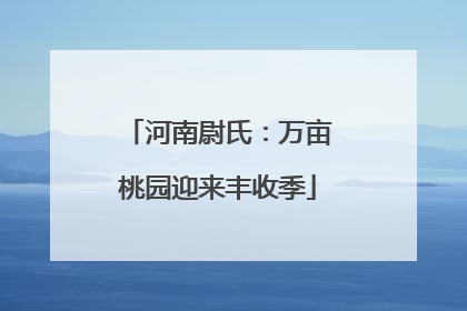 河南尉氏：万亩桃园迎来丰收季