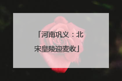 河南巩义：北宋皇陵迎麦收