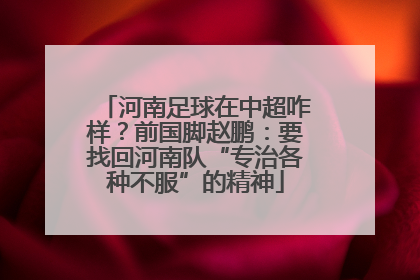 河南足球在中超咋样？前国脚赵鹏：要找回河南队“专治各种不服”的精神