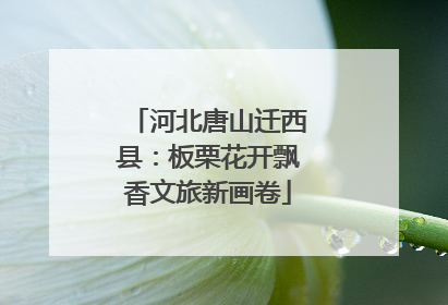 河北唐山迁西县：板栗花开飘香文旅新画卷