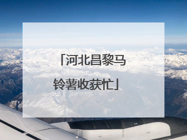 河北昌黎马铃薯收获忙