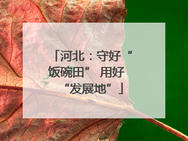 河北：守好“饭碗田” 用好“发展地”