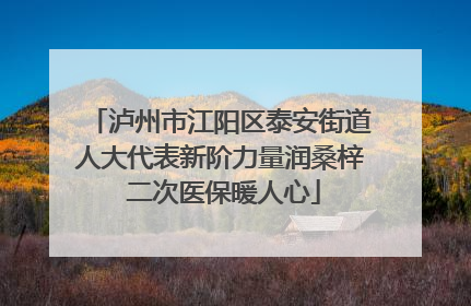 泸州市江阳区泰安街道人大代表新阶力量润桑梓 二次医保暖人心