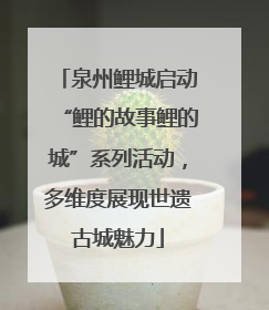 泉州鲤城启动“鲤的故事鲤的城”系列活动，多维度展现世遗古城魅力