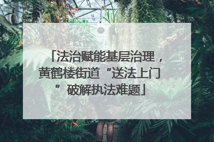 法治赋能基层治理，黄鹤楼街道“送法上门”破解执法难题