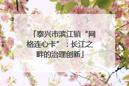 泰兴市滨江镇“网格连心卡”：长江之畔的治理创新