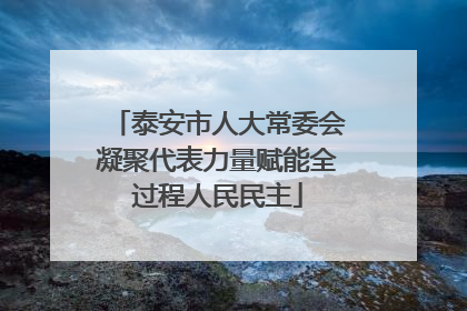 泰安市人大常委会凝聚代表力量赋能全过程人民民主