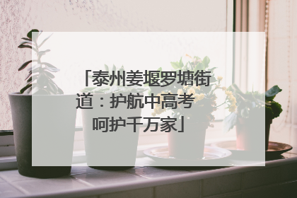 泰州姜堰罗塘街道：护航中高考 呵护千万家