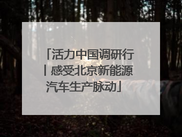 活力中国调研行丨感受北京新能源汽车生产脉动