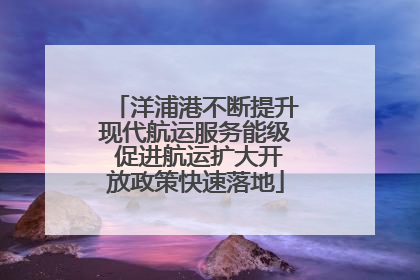 洋浦港不断提升现代航运服务能级 促进航运扩大开放政策快速落地