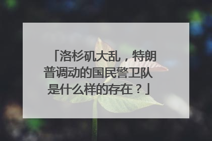 洛杉矶大乱，特朗普调动的国民警卫队是什么样的存在？