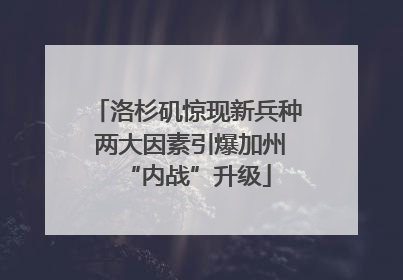 洛杉矶惊现新兵种 两大因素引爆加州“内战”升级