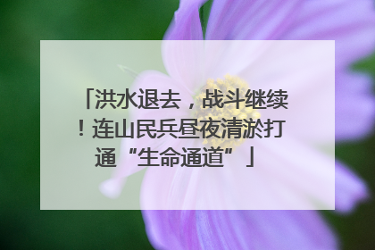 洪水退去，战斗继续！连山民兵昼夜清淤打通“生命通道”