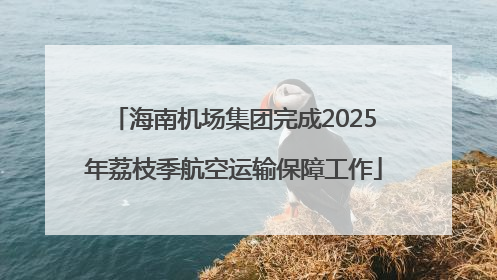 海南机场集团完成2025年荔枝季航空运输保障工作
