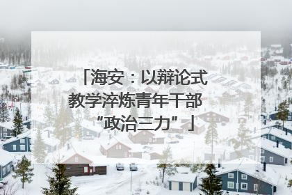 海安：以辩论式教学淬炼青年干部“政治三力”