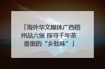 海外华文媒体广西梧州品六堡 探寻千年茶香里的“乡愁味”