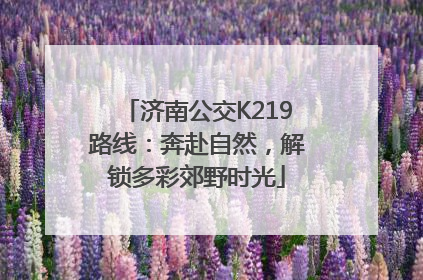 济南公交K219路线：奔赴自然，解锁多彩郊野时光