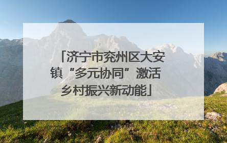 济宁市兖州区大安镇“多元协同”激活乡村振兴新动能