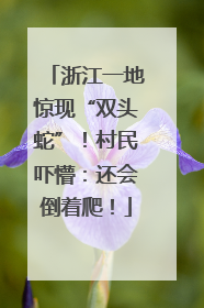 浙江一地惊现“双头蛇”！村民吓懵：还会倒着爬！