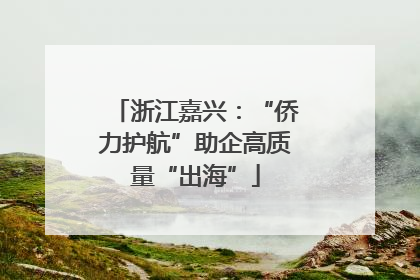 浙江嘉兴：“侨力护航”助企高质量“出海”