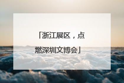 浙江展区，点燃深圳文博会