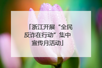 浙江开展“全民反诈在行动”集中宣传月活动