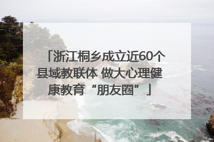 浙江桐乡成立近60个县域教联体 做大心理健康教育“朋友圈”