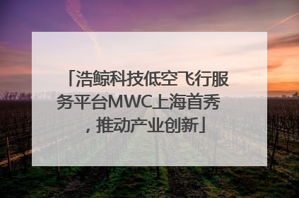 浩鲸科技低空飞行服务平台MWC上海首秀，推动产业创新