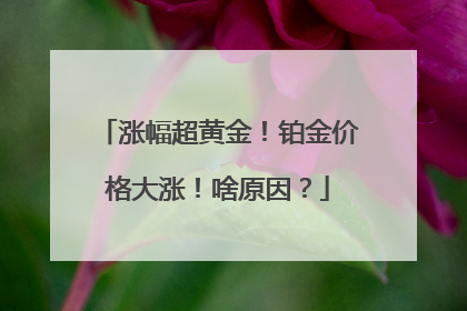 涨幅超黄金！铂金价格大涨！啥原因？