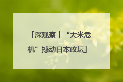 深观察丨“大米危机”撼动日本政坛