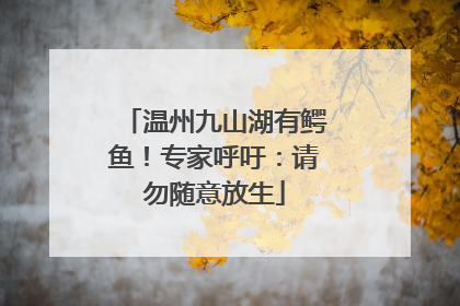 温州九山湖有鳄鱼！专家呼吁：请勿随意放生