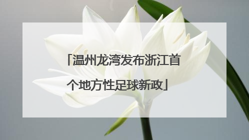 温州龙湾发布浙江首个地方性足球新政