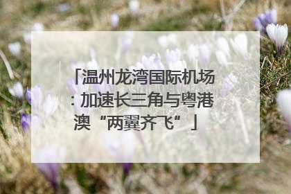 温州龙湾国际机场：加速长三角与粤港澳“两翼齐飞”