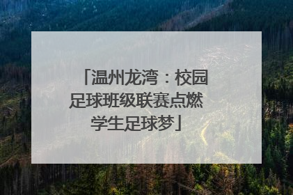 温州龙湾：校园足球班级联赛点燃学生足球梦