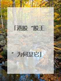 港股“股王”为何是它