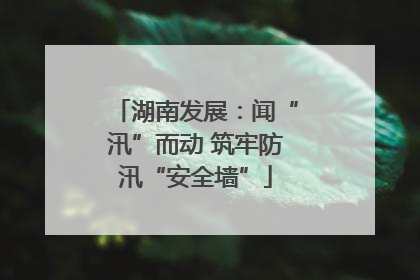 湖南发展：闻“汛”而动 筑牢防汛“安全墙”