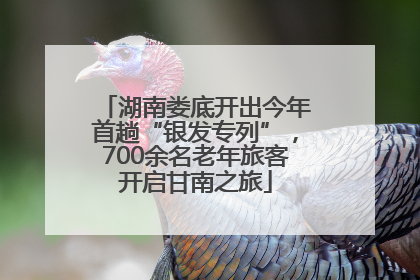 湖南娄底开出今年首趟“银发专列”，700余名老年旅客开启甘南之旅