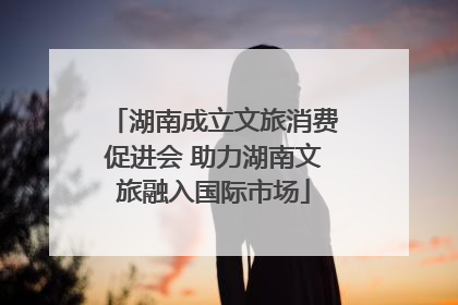 湖南成立文旅消费促进会 助力湖南文旅融入国际市场