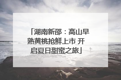 湖南新邵：高山早熟黄桃抢鲜上市 开启夏日甜蜜之旅