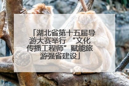 湖北省第十五届导游大赛举行 “文化传播工程师”赋能旅游强省建设