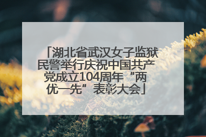 湖北省武汉女子监狱民警举行庆祝中国共产党成立104周年“两优一先”表彰大会