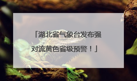 湖北省气象台发布强对流黄色省级预警！