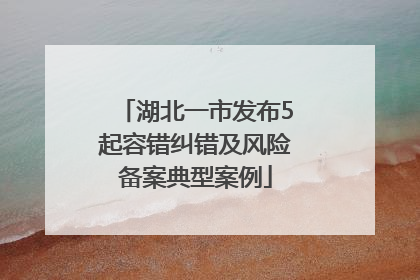 湖北一市发布5起容错纠错及风险备案典型案例